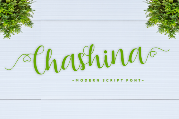 Chashina Font: Elevating Small Business Brand Identity
