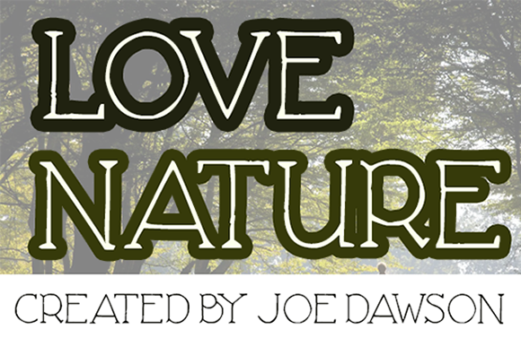 Love Nature Font: Organic Serif for Web Design