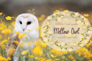 Mellow Owl Font: Adding a Sweet Touch to Brand Identity