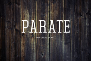 Parate Font: Elevating Boutique Brand Identity Design