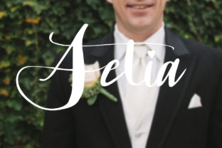 Setia Font: Romantic Script for Business Branding