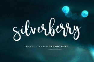 Silverberry Font: A Classy Script for Web Design